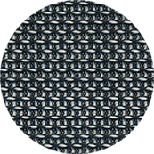 Dash Swatch